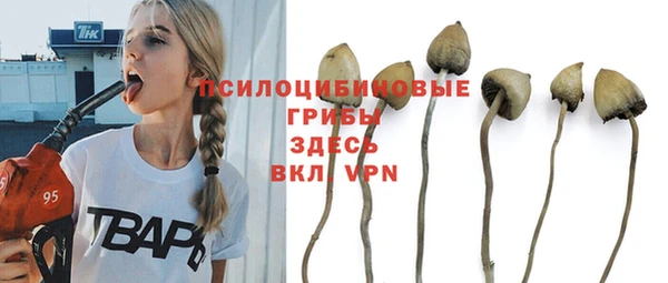 шишки Абинск