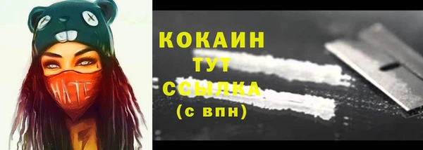 шишки Абинск