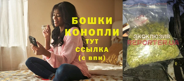 шишки Абинск