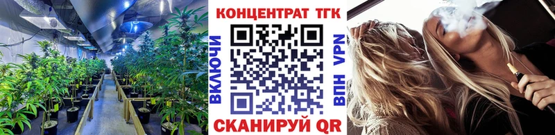 купить наркотик Серпухов ТГК гашишное масло