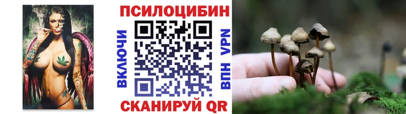 omg   Серпухов  Псилоцибиновые грибы MAGIC MUSHROOMS 